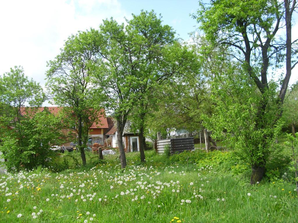 Rosmarinhof Apartamento Heiligenkreuz im Lafnitztal Exterior foto